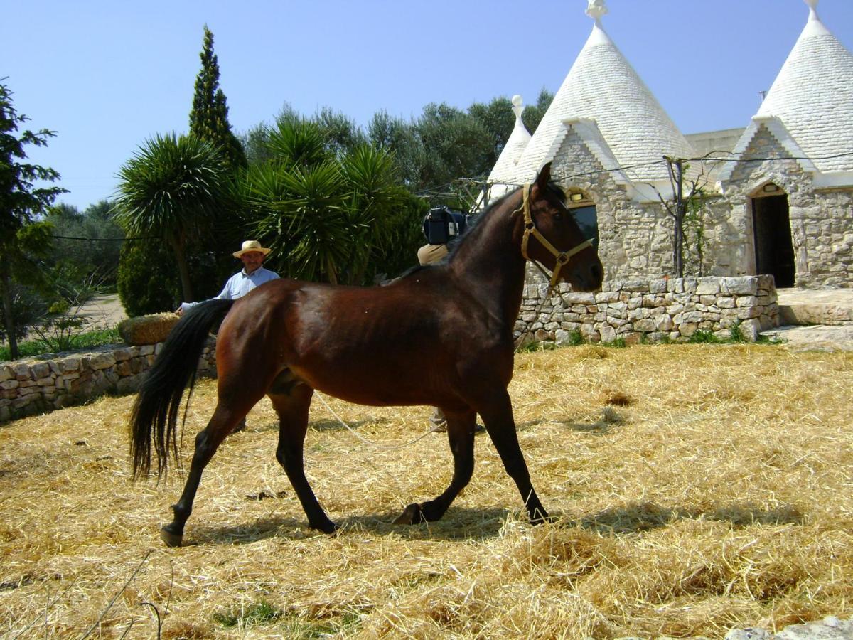 Masseria Sciaiani Piccola Villa Castelli Екстер'єр фото